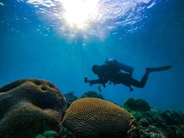 自然资源部新增5个国家野外科学观测研究站|地下水|珊瑚|国家野外科学